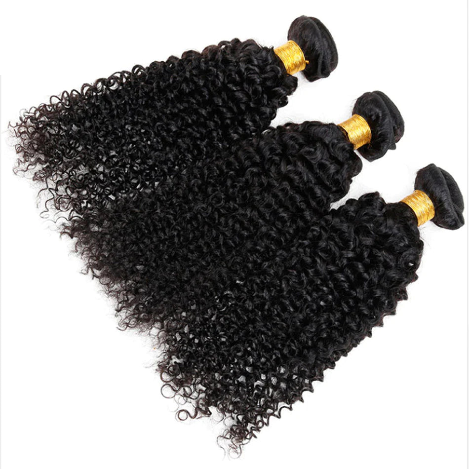 KPZ Hair Black Curly Hair 3 Bundles with 4x4 Lace Closure 100% Virgin Human Hair Weave