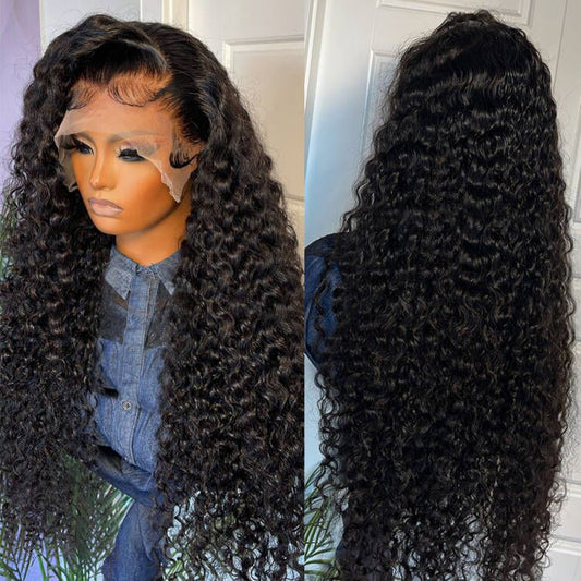 Black Curly Hair 13x4 HD Lace Front Wig 100% Virgin Human Hair Wigs Pre Plucked Hairline